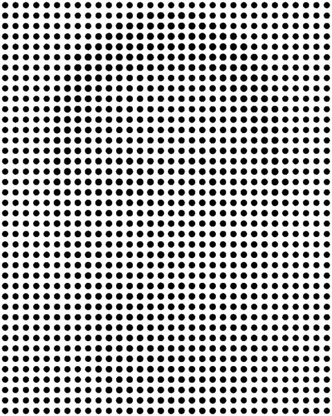 optical illusions faces hidden