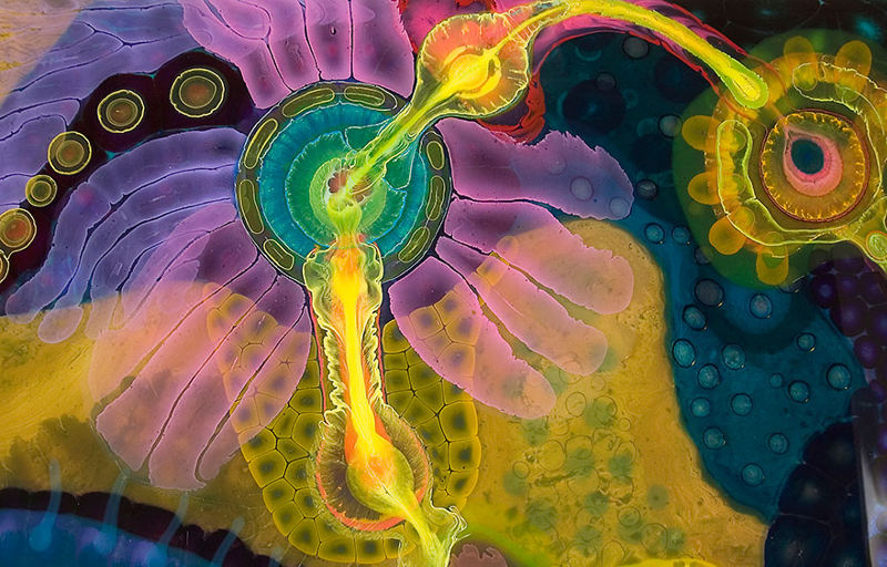 psychedelic artworks bruce riley
