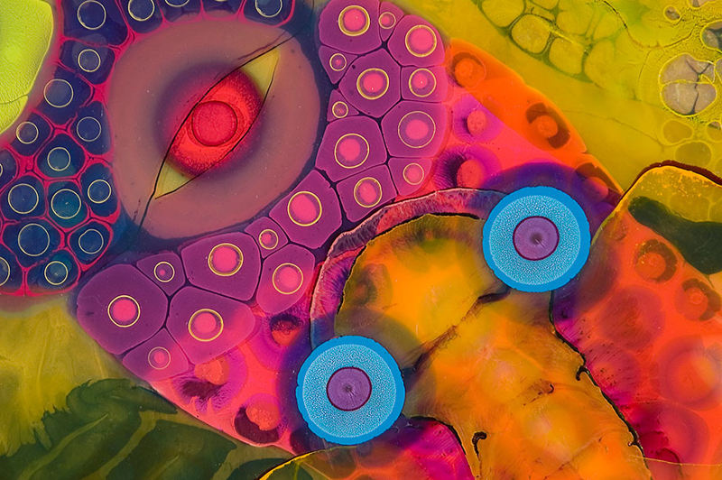 psychedelic artworks bruce riley