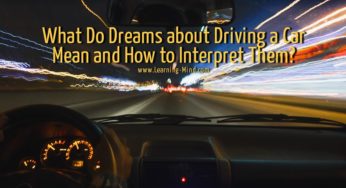 What Do Dreams about Driving a Car Mean and How to Interpret Them?