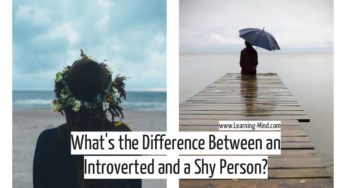 What’s the Difference Between Being Introverted and Shy, According to Science?